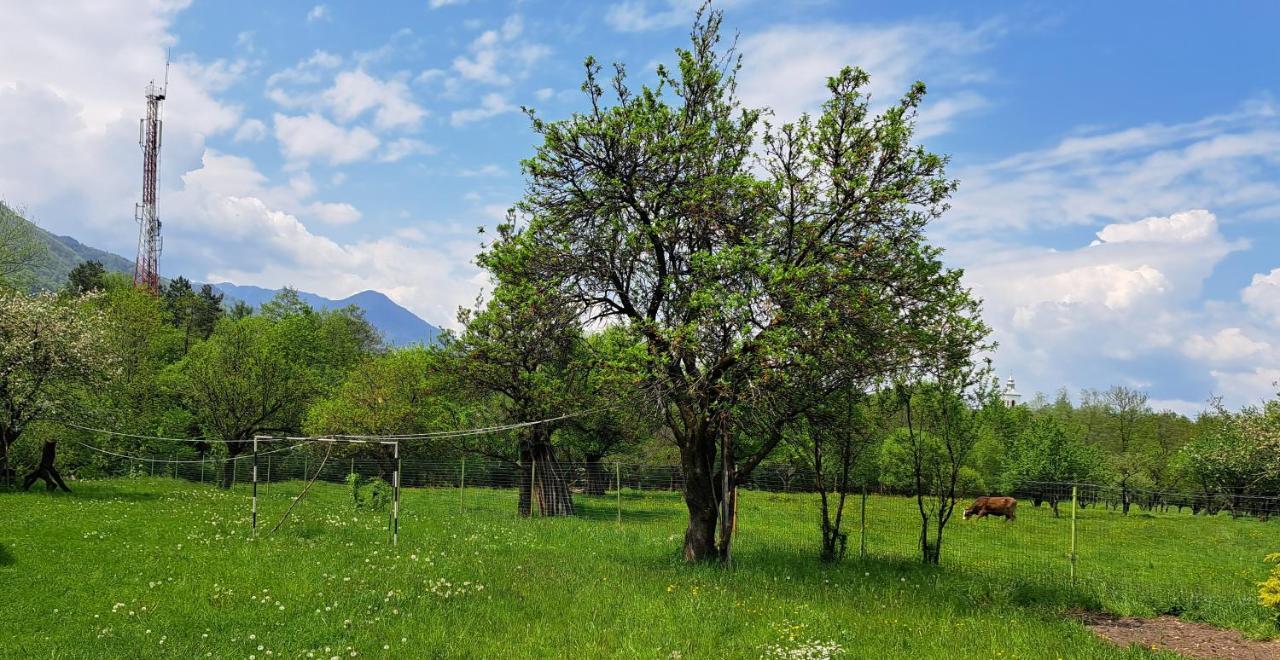 Villa Katharina Bran Бран Екстер'єр фото